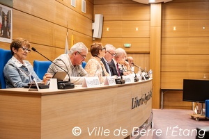 Conseil municipal avec le CMJ