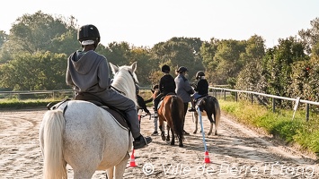 CSLH - Stage d'équitation