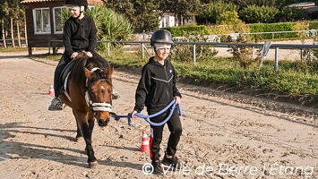 CSLH - Stage d'équitation