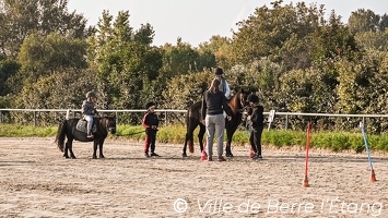 CSLH - Stage d'équitation