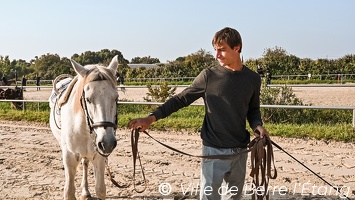 CSLH - Stage d'équitation