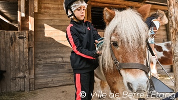 CSLH - Stage d'équitation