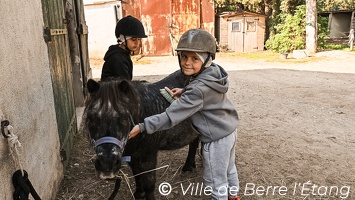 CSLH - Stage d'équitation