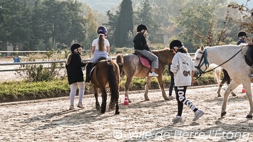 CSLH - Stage d'équitation