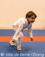 Démonstration de Judo