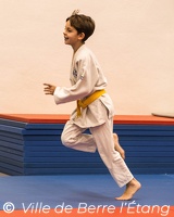 Démonstration de Judo