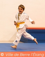 Démonstration de Judo