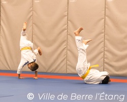 Démonstration de Judo