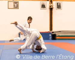 Démonstration de Judo