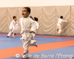 Démonstration de Judo