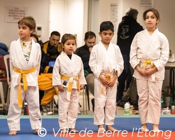 Démonstration de Judo