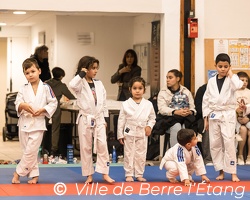 Démonstration de Judo