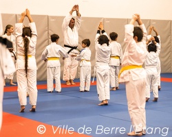 Démonstration de Judo