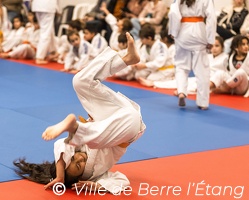Démonstration de Judo