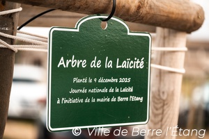 L'arbre de la Laïcité