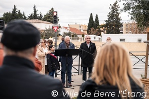L'arbre de la Laïcité