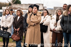 L'arbre de la Laïcité