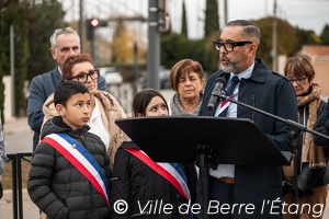 L'arbre de la Laïcité