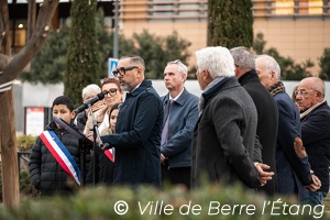 L'arbre de la Laïcité