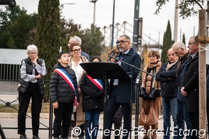 L'arbre de la Laïcité