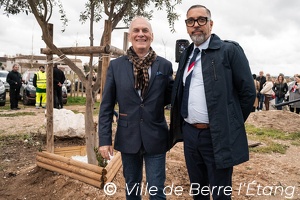 L'arbre de la Laïcité