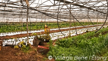 Portrait - Jean BOUNOUS - Agriculteur