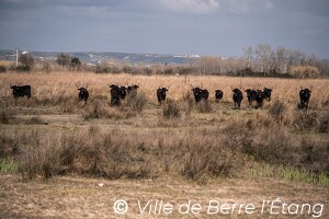 Randonnée Gipreb - Zones humides