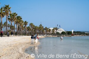 Un matin de mars à la plage du Passet