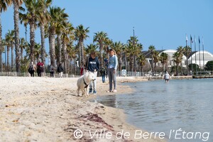 Un matin de mars à la plage du Passet