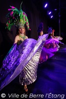 Edition 2026 - Carnaval de la ville