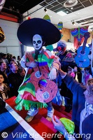 Edition 2026 - Carnaval de la ville