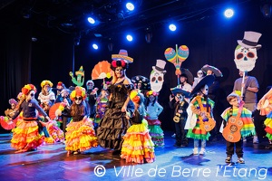 Edition 2026 - Carnaval de la ville