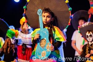 Edition 2026 - Carnaval de la ville