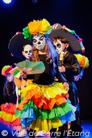 Edition 2026 - Carnaval de la ville