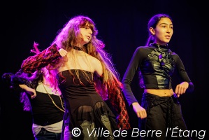 Edition 2026 - Carnaval de la ville
