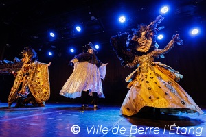 Edition 2026 - Carnaval de la ville