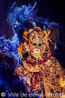 Edition 2026 - Carnaval de la ville