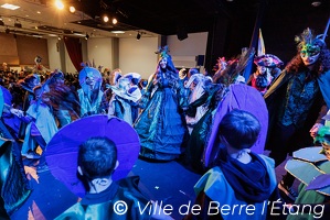 Edition 2026 - Carnaval de la ville