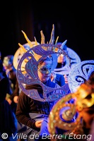 Edition 2026 - Carnaval de la ville