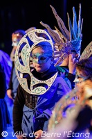 Edition 2026 - Carnaval de la ville
