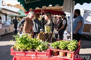 Édition 2026 - Ouverture marché des producteur