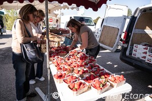 Édition 2026 - Ouverture marché des producteur