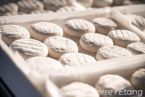 Édition 2026 - Ouverture marché des producteur