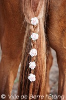 Bénédiction des chevaux du 1er mai