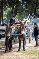 Bénédiction des chevaux du 1er mai