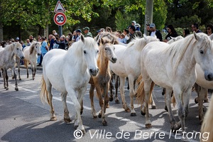 Bénédiction des chevaux du 1er mai