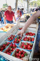 Marché du dimanche matin