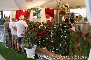 Édition 2026 - Festines de Berre